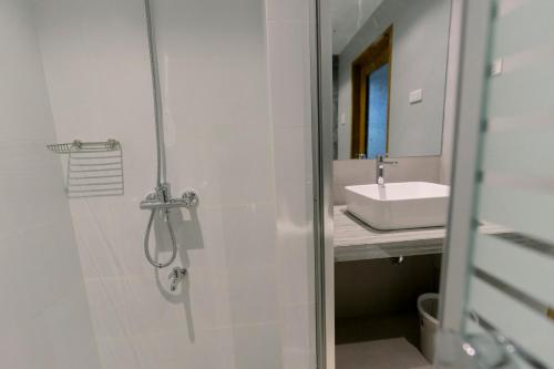 PanaboMadonna Hometel and Suites New Pandan的带淋浴和盥洗盆的浴室