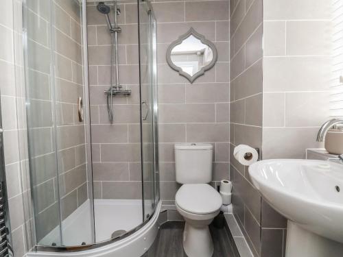 康威Apartment 1的带淋浴、卫生间和盥洗盆的浴室