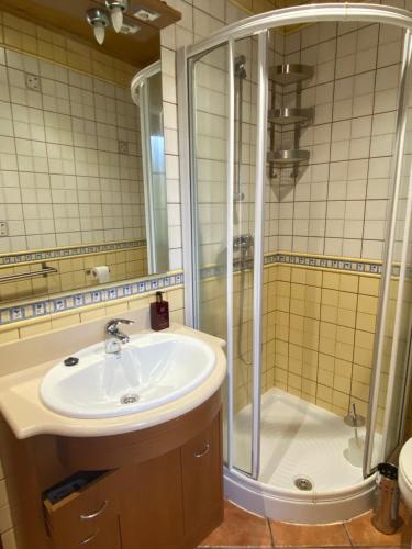 福斯Villa Maribel的一间带水槽和淋浴的浴室