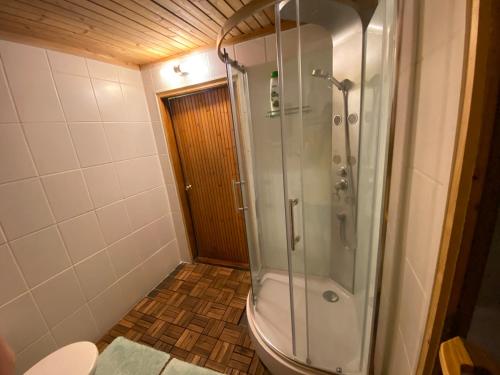 塔林特努玛公寓酒店的带淋浴和卫生间的浴室