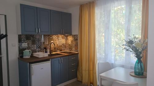 索佐波尔索菲家庭酒店的厨房配有蓝色橱柜、桌子和窗户。