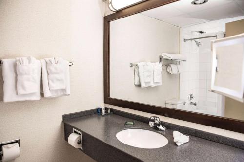 埃德蒙顿Wyndham Edmonton Hotel and Conference Centre的浴室配有盥洗盆、镜子和毛巾