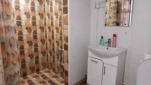 TsovazardSevan - Tsovazard Beach House的一间带水槽和淋浴的浴室