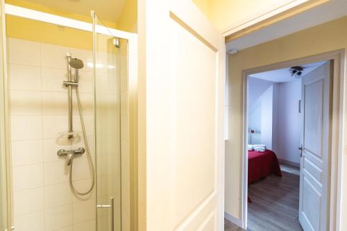 阿姆博斯Le Pont Royal的带淋浴的浴室和卧室