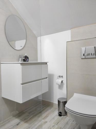 BorlovaCasa din livada Borlova的白色的浴室设有卫生间和镜子