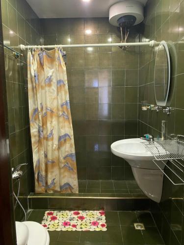 巴库Surf Hotel的一间带水槽、卫生间和淋浴的浴室