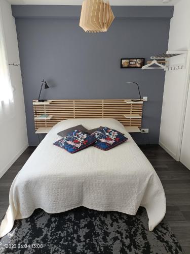 雷恩L'imprimerie, charmant pied à terre, tout confort的一间卧室配有一张带两个枕头的床