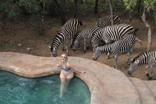 Kruger Park Hostel