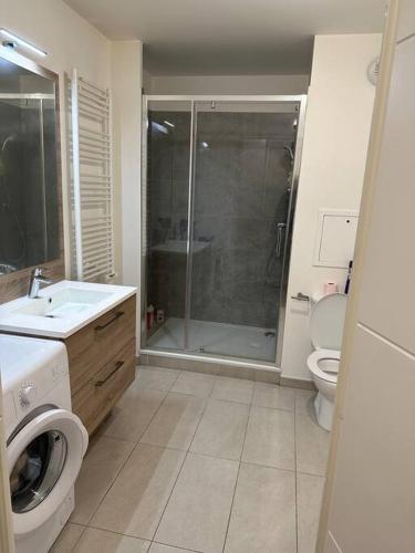 庞坦Loue super appartement standing的带淋浴、卫生间和盥洗盆的浴室