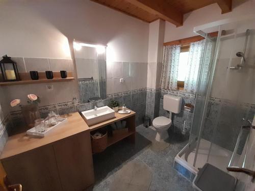 FokovciLogarska koča的一间带水槽、卫生间和淋浴的浴室