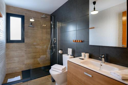 ConilCasa Sur的一间带水槽、卫生间和淋浴的浴室