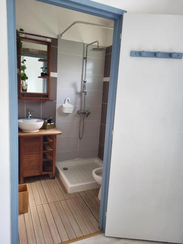 圣丹尼斯LA KAZ A DIAMANTS的带淋浴、盥洗盆和卫生间的浴室