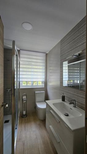 桑蒂蓬塞Apartamento Trajano的一间带水槽和卫生间的浴室以及窗户。