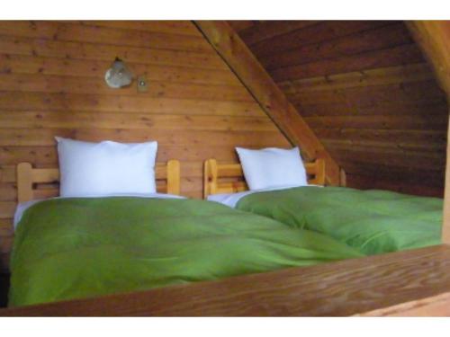 轻井泽Karuizawa Sunny Village - Vacation STAY 57947v的一间卧室配有两张带绿床单的床