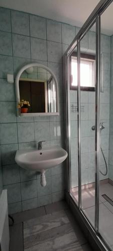 德丁基Chata Julka的一间带水槽和玻璃淋浴的浴室