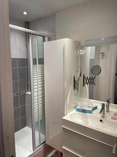 桑特Chez Emmanuel的白色的浴室设有水槽和淋浴。