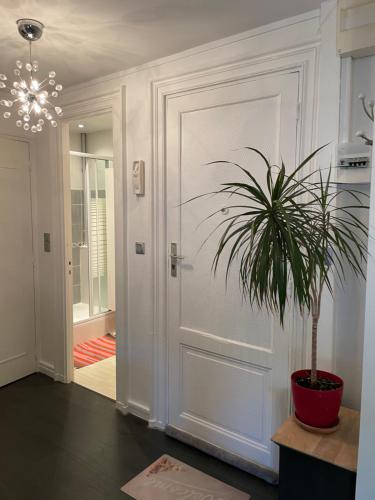 桑特Chez Emmanuel的走廊上设有门和盆栽