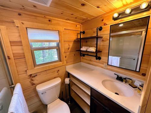 Twin MountainBMV6 Tiny Home village near Bretton Woods的浴室设有卫生间水槽和镜子