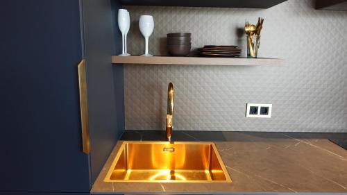 米德尔堡Middelburg Koperwiek的一个带架子的厨房里的金水槽