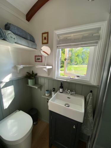 佩特沃斯Coachroad Shepherds Huts的一间带卫生间、水槽和窗户的浴室