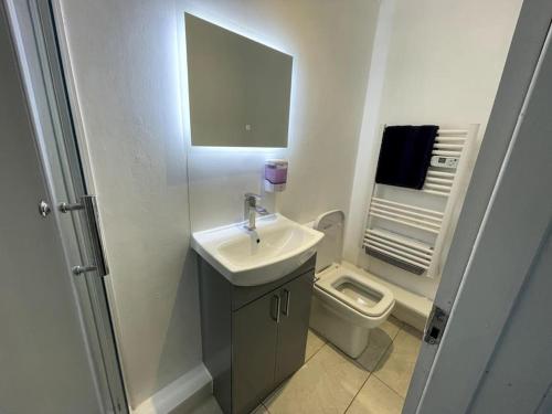 Trimley HeathChic 2 Bedroom Flat的一间带水槽和卫生间的浴室