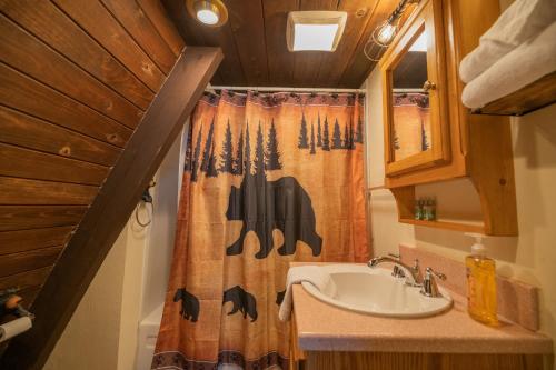 大熊湖Bear Mountain Summit - A-frame nestled in the oaks and pines!的一间带水槽和淋浴帘的浴室