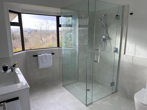 坎布里奇Modern apartment- rural outlook, central Cambridge的一间带玻璃淋浴和水槽的浴室