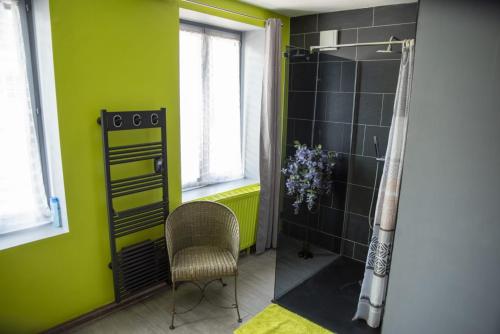 CarvinLa Petite Maison 64 rue Arthur Lamendin的浴室拥有绿色的墙壁,配有淋浴和椅子