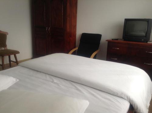 CosteştiPension Nicoleta的卧室配有白色的床和电视