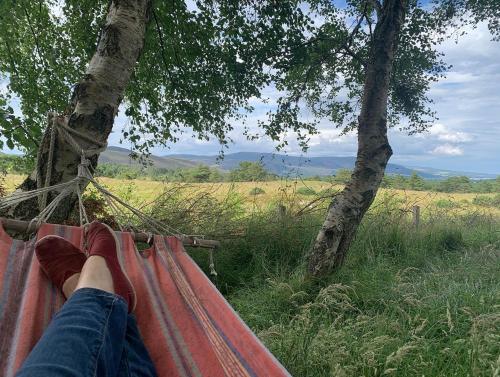 多诺赫Birkenshaw - Beautiful Shepherd’s Hut in the Highlands.的躺在树上吊床上的人