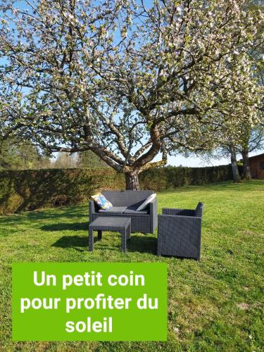 Étival-ClairefontaineLa Marmotte du Vivier的一张野餐桌和一把树下的椅子