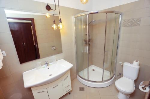 雷希察Hotel Dusan si Fiul Resita Sud的带淋浴、盥洗盆和卫生间的浴室