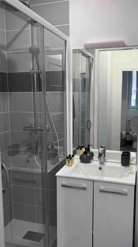 博韦Appartement f2 Résidence Nassau的带淋浴、盥洗盆和镜子的浴室