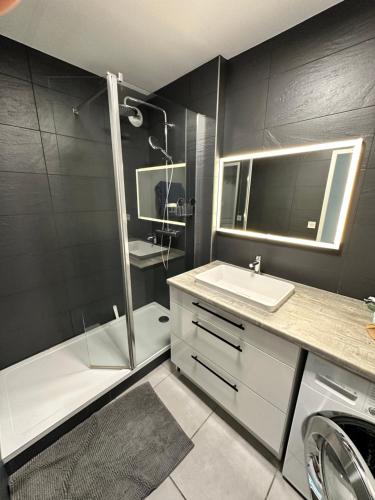 里昂A Room - Une chambre dans un appartement meublé et équipé - Clinique de la Sauvegarde - location courte durée的带淋浴、盥洗盆和淋浴的浴室