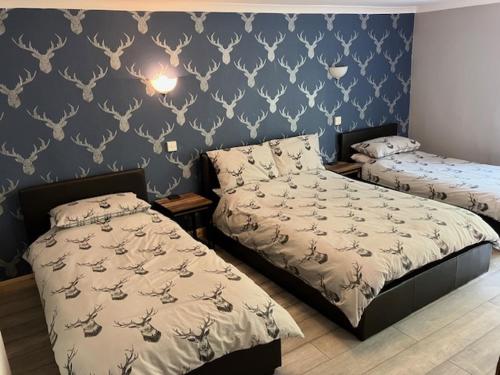 斯特拉西尔Sir Andrew Murray House的一间卧室设有两张床和蓝色的墙壁