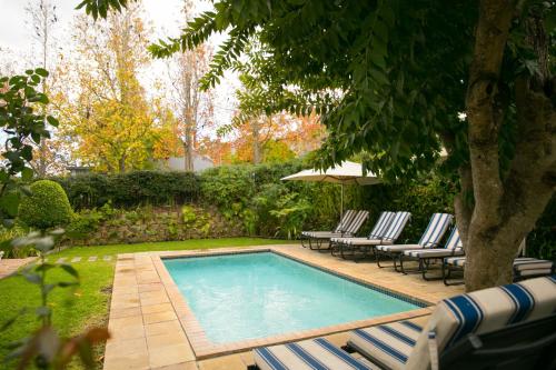 弗朗斯胡克Maison Chablis Guest House的一个带躺椅的游泳池以及一棵树