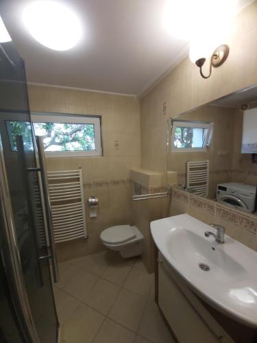 格丁尼亚KASZUBIANKA 1的一间带水槽、卫生间和镜子的浴室