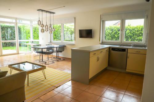 巴特菲尔伯尔Art & Nature Apartments in der Nähe FFM-Messe的厨房以及带桌子和沙发的客厅。