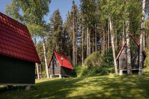 阿德尔什帕赫Chatky Skalní mlýn Adršpach的森林中两座红色屋顶的小房子