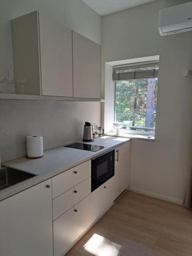 帕兰加Kurortas Apartments的厨房配有白色橱柜、水槽和窗户。
