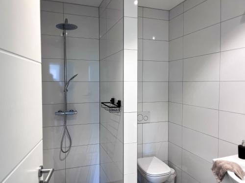 欧本Hof Gemehret的带淋浴和卫生间的白色浴室
