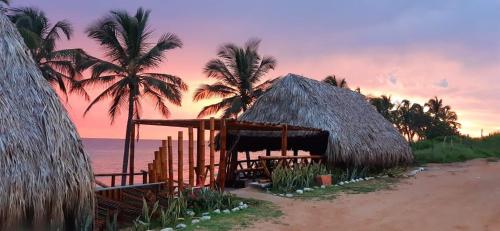 DibullaHotel Playa Paraiso的棕榈树和大海海滩上的小屋