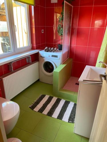 BigauņciemsKotedža Tīkli的一间带洗衣机和洗衣机的浴室。