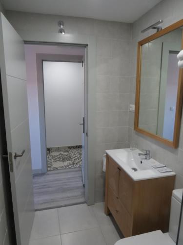 桑坦德ALOJAMIENTOS AVICHE 6的一间带水槽、卫生间和镜子的浴室