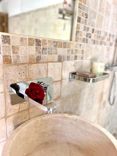 马里尼亚讷Romance en Provence的浴室水槽上方有红玫瑰