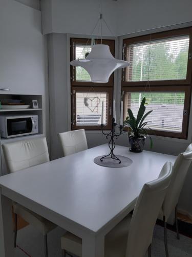 萨翁林纳Peltorinne 14的白色餐桌、白色椅子和灯具
