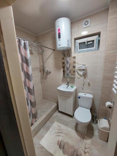 沃罗赫塔Котедж у Ліску 2的浴室配有卫生间、淋浴和盥洗盆。