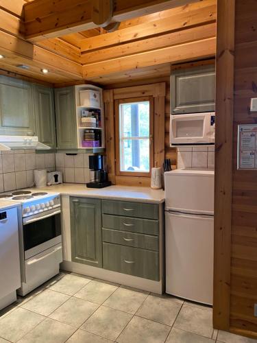 耶姆赛Latvahonka Cottage的厨房配有绿色橱柜和白色家电