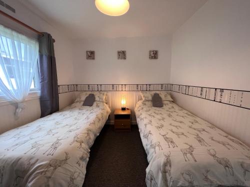 比迪福德20 Bucklands, Bideford Bay Holiday Park的带窗户的客房内设有两张单人床。