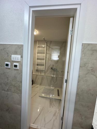 莫伊科瓦茨Pejovic apartmani Mojkovac的带淋浴的浴室和玻璃门
